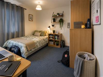 Picture 8